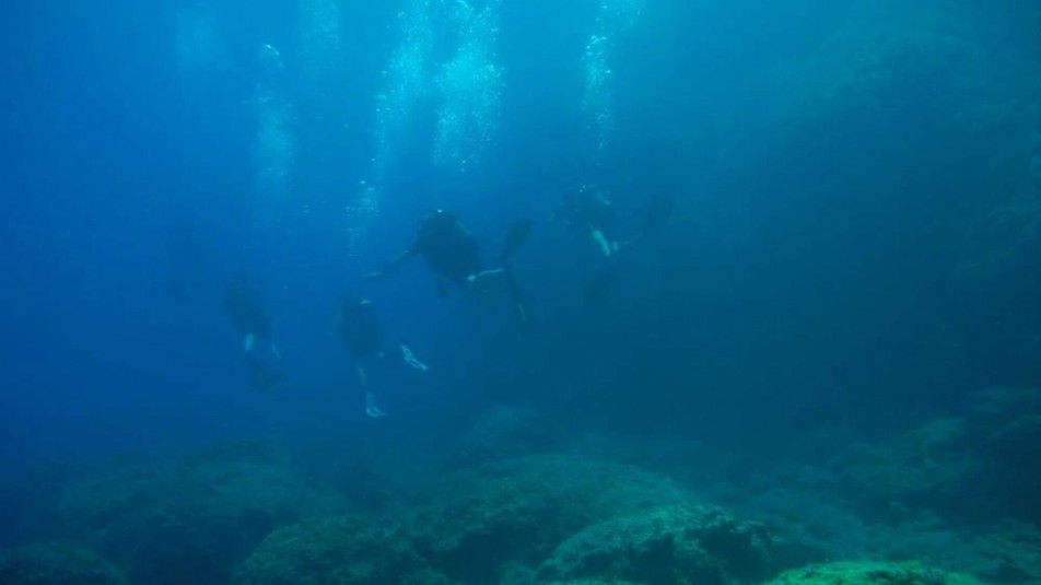 Divers Paradise